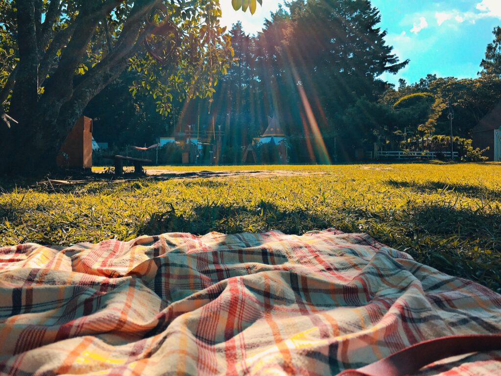 Picnic Must-Haves For The Summer