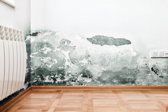 Rising Damp