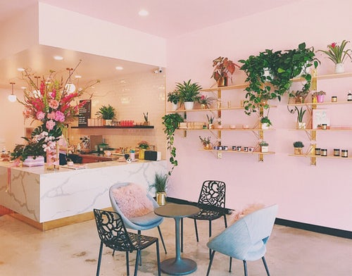 Living space with pink walls and plants as a main feauture