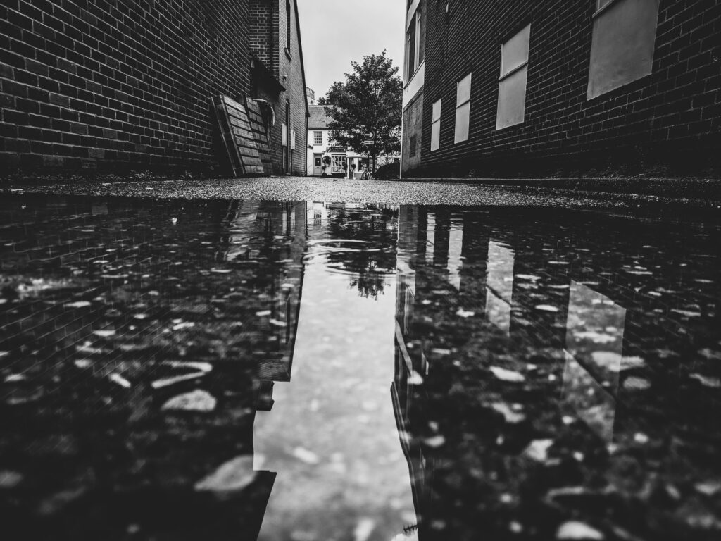 damp proofing services